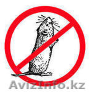 Борьба с грызунами #1102055