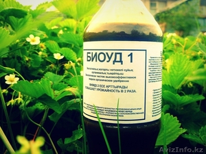 Удобрение БиоУд-1 #1102795