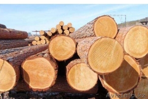  Продам лес. Россия. от 100 кубов. Кругляк #1109247