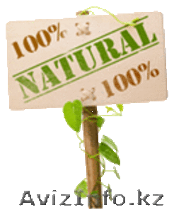 Кырмызы Алтынбай,  г.Кызылорда,  kaltynbay@inbox.ru #1111583