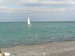 Алаколь база 