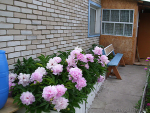 Продается 3-х комнатная квартира в двух уровнях в селе Саумалколь,  Казахстан. #1103632