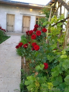 ПРОДАМ ХОРОШИЙ ДОМ ИЛИ ОБМЕНЯЮ #1113859