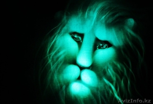 Рисунки светом/Световое шоу #1123620