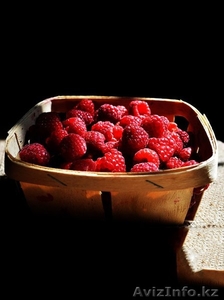 Самая лучшая малина #1121472