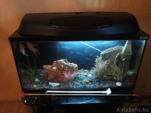 Большой аквариум #1122418