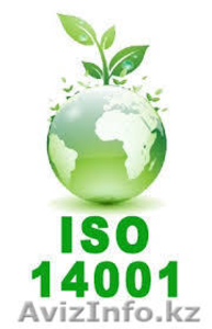СТ РК  ISО 14001-2016  Система экологического менеджмента #1126304