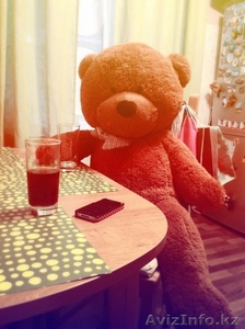 Большие Плюшевые Медведи Павлодар! Размеры  140-160-180 см #1129821