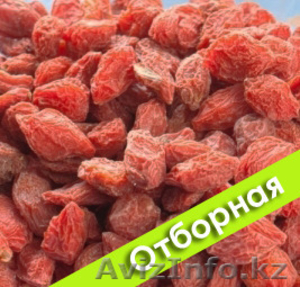 ЯГОДЫ ГОДЖИ В АСТАНЕ #1135953