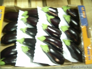 продаю овощи из Испании #1137383