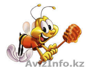 Высококачественный гречишный и луговой МЕД оптом  #1139271