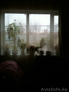 Продам дом в экологически чистом районе #1130796