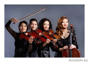 Студийная фотосъёмка #1128761