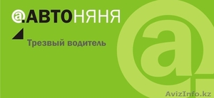 Трезвый водитель АвтоНяня #1137673