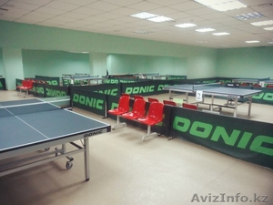 Клуб настольного тенниса 