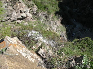 Туристская компания 