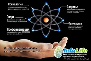 Определение способностей по отпечаткам пальцев InfoLife #1151897