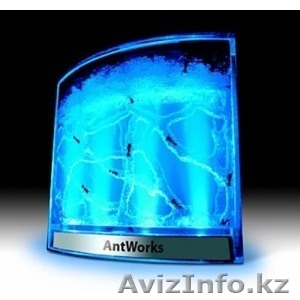 Муравинная ферма #1142640