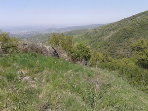 Продам участок 12.75 соток. Каменское плато. 3100$/сотка. СРОЧНО! #1150496