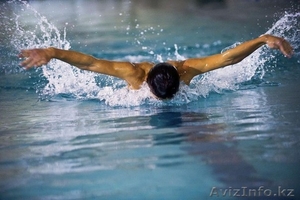 Обучаю плаванию! #1154258