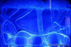 Аквариум для муравьев #1150499