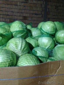 Польские яблоки и овощи #1146606