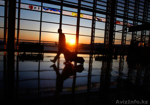 Шенген визы: срочные визы без присутствия! #1152873