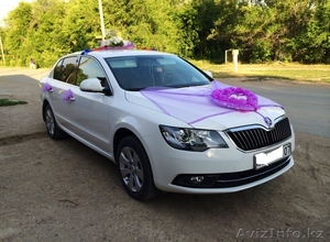 Шкода Суперб 2013 #1149416