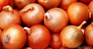 лук свежи пияз  #1149657
