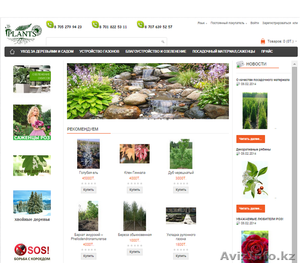 укладка рулонного газона в алматы #1152549