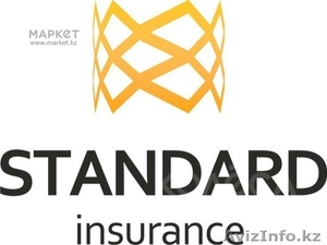 Автострахование Standard (insurence) #1161309