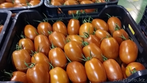 продаем помидоры #1168641