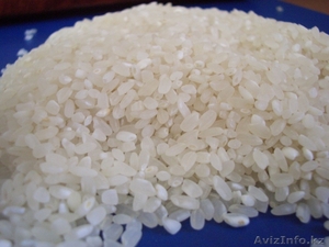 рис шлифованный 1 сорт Россия #1156599