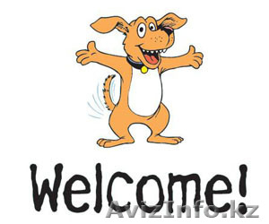 Обучаю английскому языку! #1168525