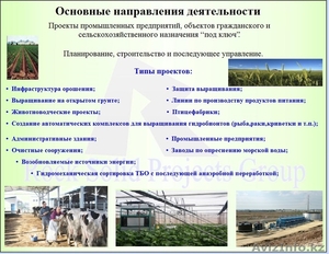 Комплексное внедрение Израильских инновационных технологий в сельское #1157698