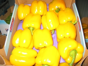 продаем перец из Испании #1168646