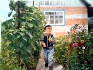 Продаётся дача за Понтонным мостом #1163139