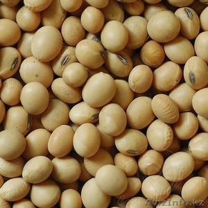 Продам сою со склада  #1169383