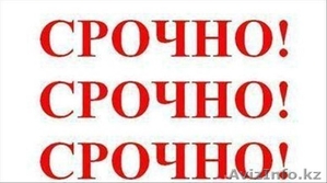 срочно продам дом в отл сост село курчум все хоз. постройки #1156991
