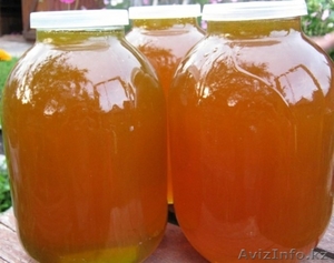  Алтайский Мёд. #1173081