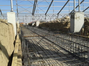 Молочно-товарная ферма. Проект. Строительство. #1172470