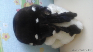 продам шапку норковую #1182880