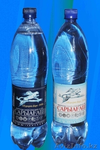 минеральная вода сарыагаш #408542