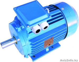 Электродвигатель 5АИ56В2 #1174064