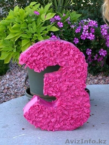 Пиньята в алматы от агенства 