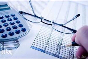 Все виды бухгалтерской отчетности #1181263