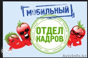 Отдел кадров. Инспектор отдела кадров #1181274