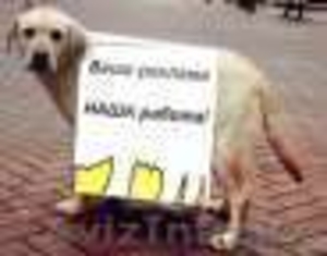 Качественная расклейка объявлений в Алматы в кратчайшие сроки. #1179228