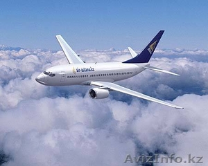 Авиационные грузоперевозки в Казахстан из Москвы за 2 дня. Командирская почта  #1178748