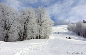 Мало снега в Актау? Поехали в Бакуриани и Гудаури! #1172382